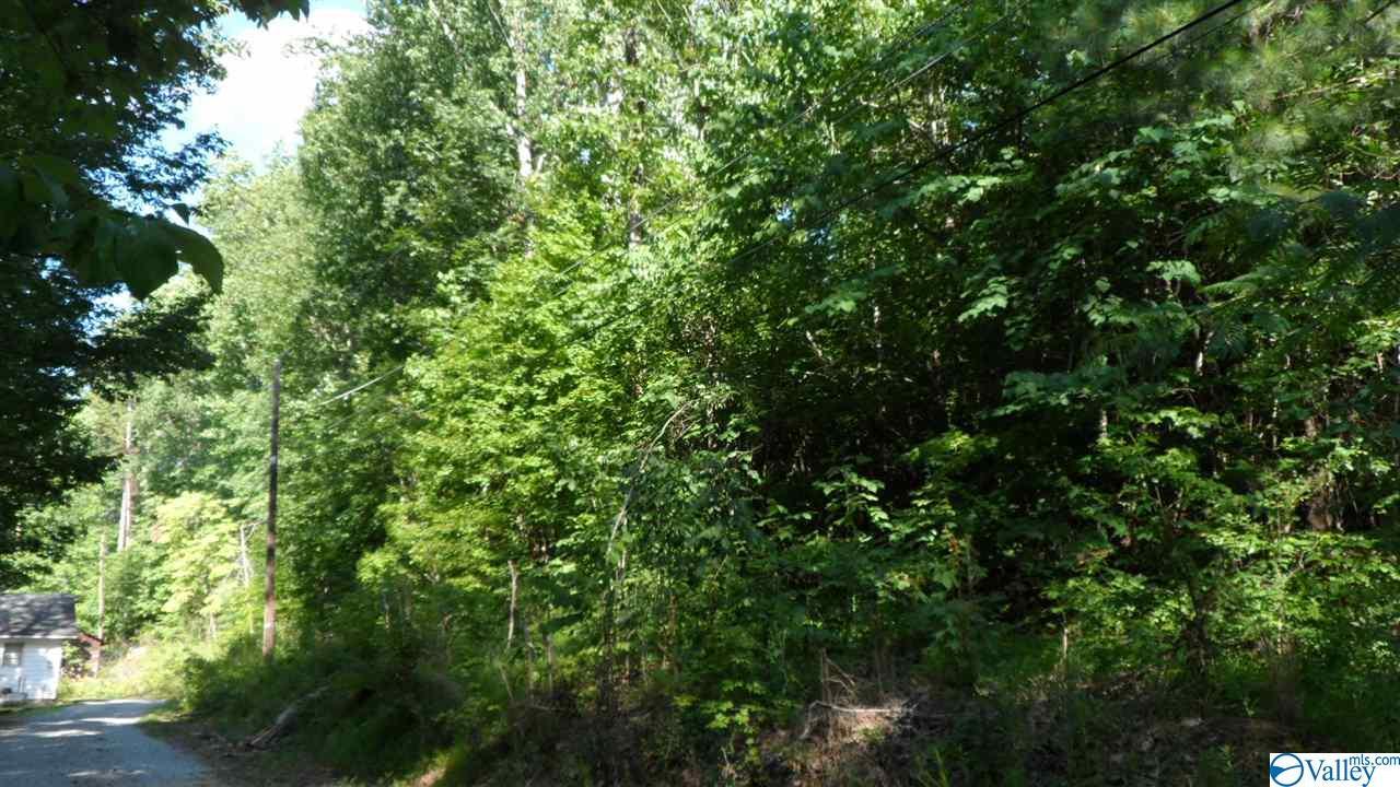 0 Old Greensport Road - Photo 1