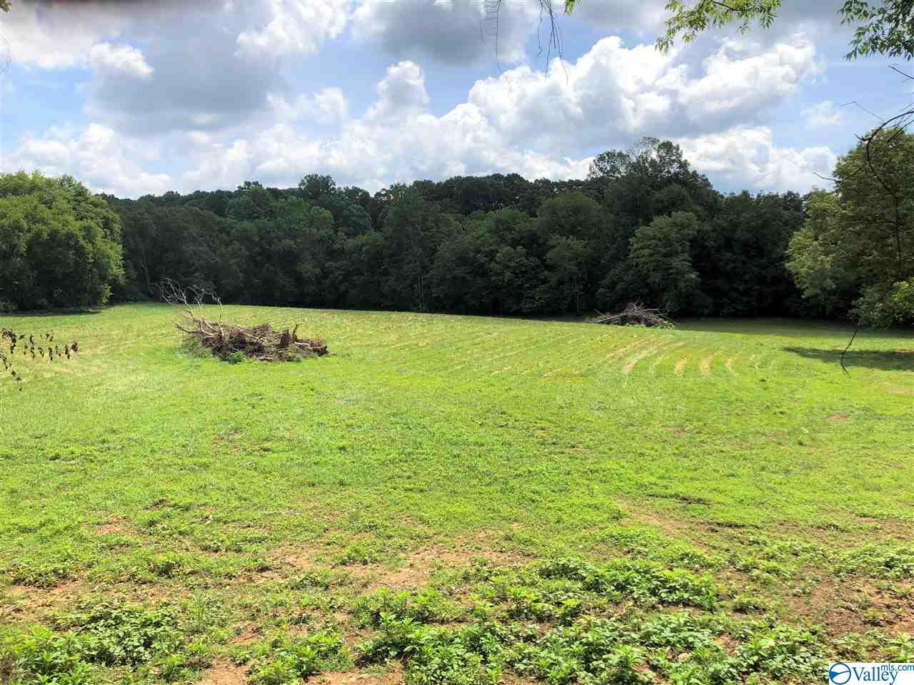 000 Hwy 72 - Photo 1
