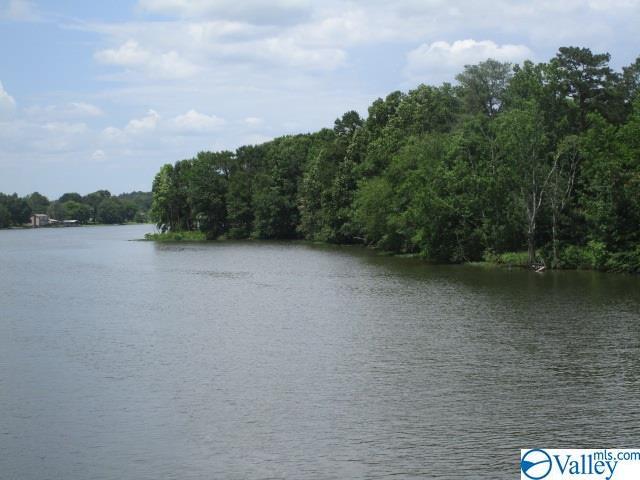 0 U S Hwy 411 - Photo 1