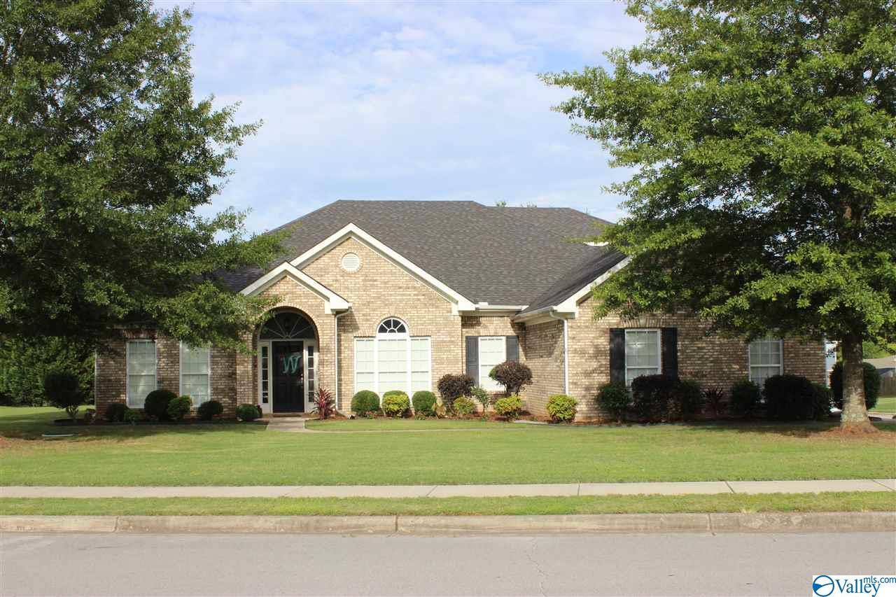 105 Silver Dollar Lane - Photo 1