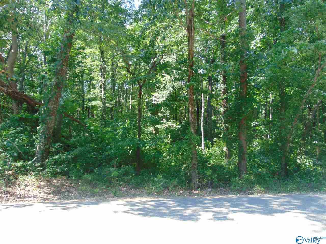 2 Given Cove - Photo 1