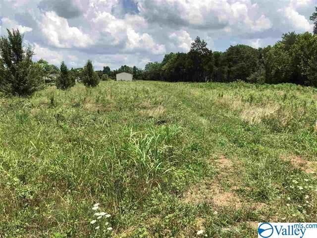 1115 J B Walker Road - Photo 1