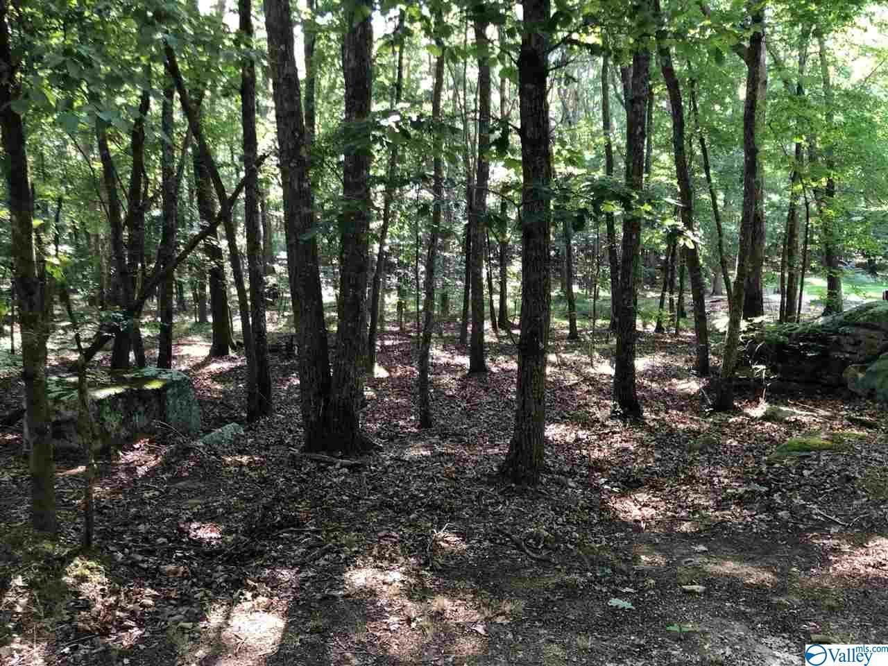 County Road 934 - Photo 1