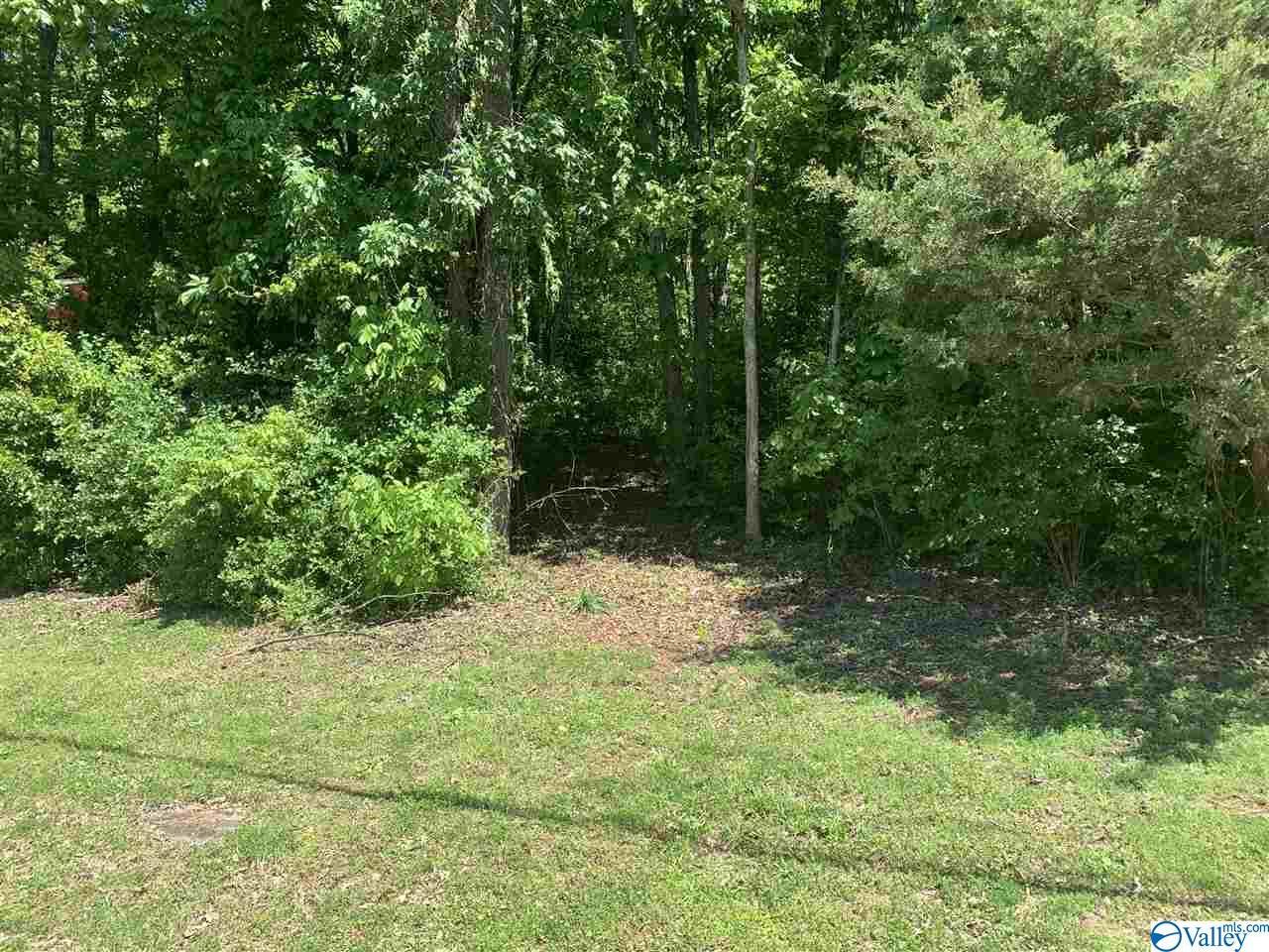 0 Noble Drive - Photo 1