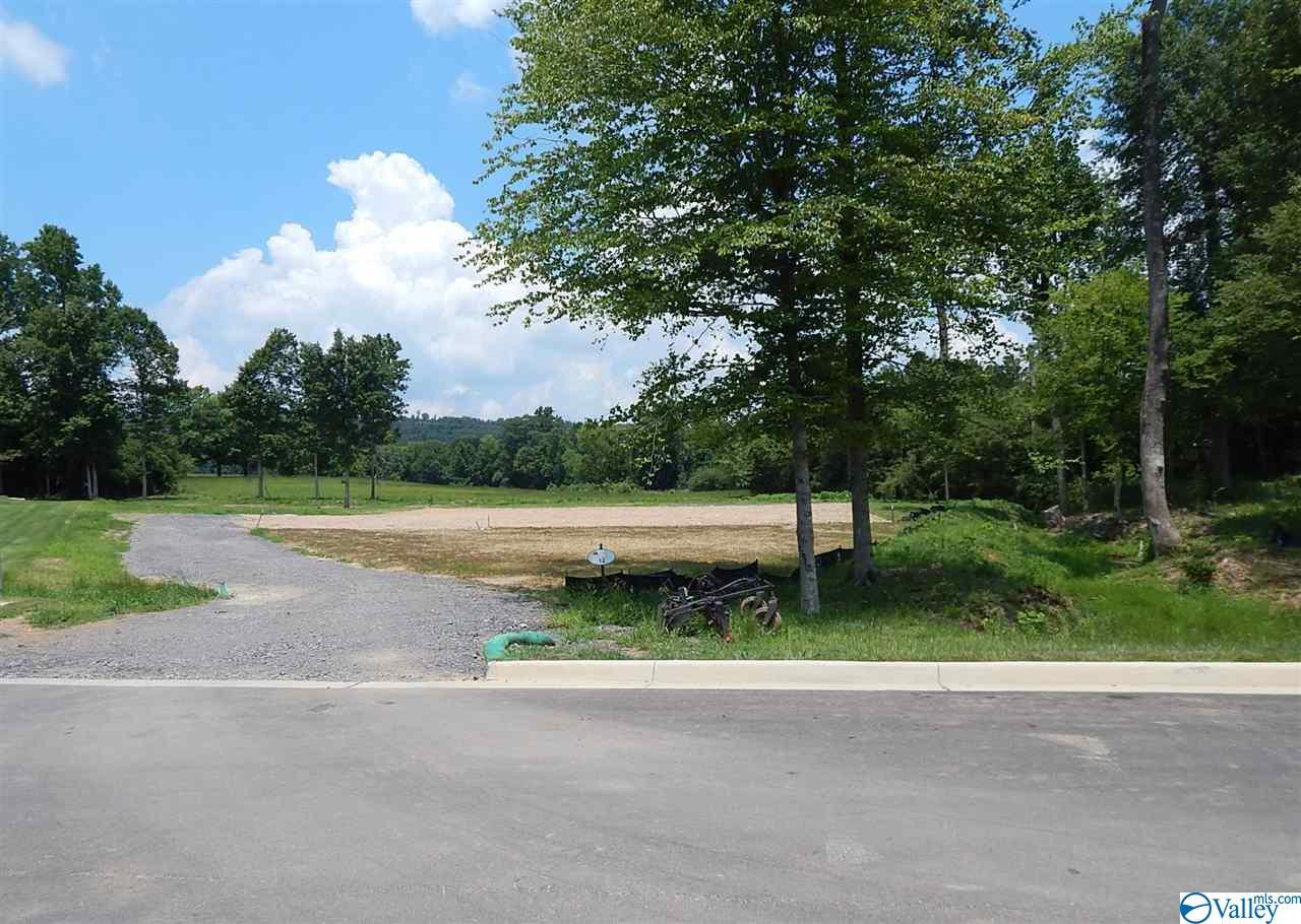 292 Greystone Pass - Photo 1