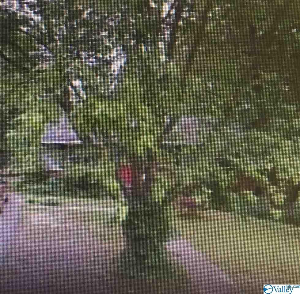 206 Bolvin Circle - Photo 1