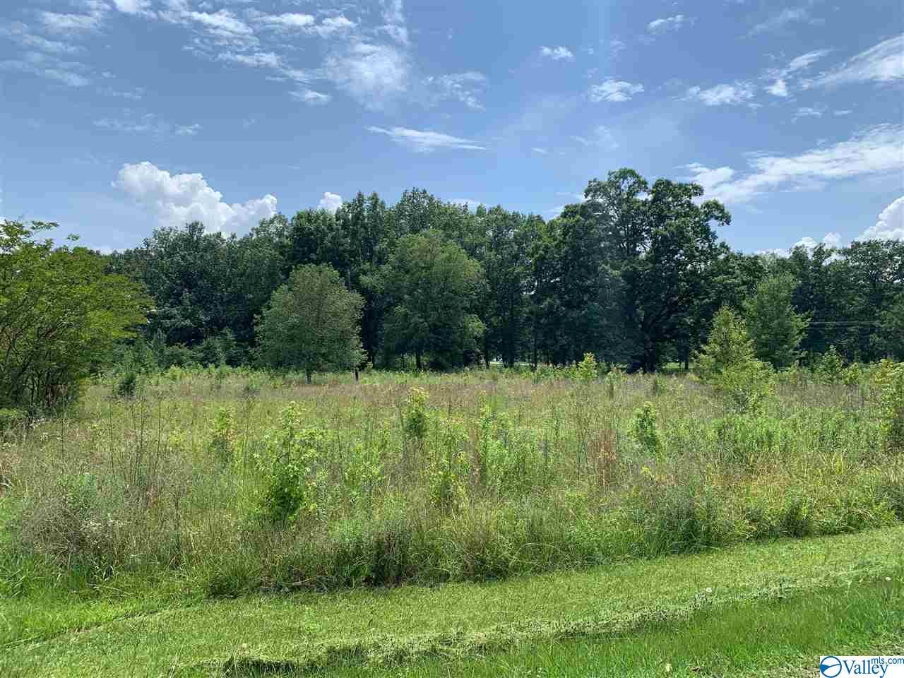 East Chattooga Drive - Photo 1