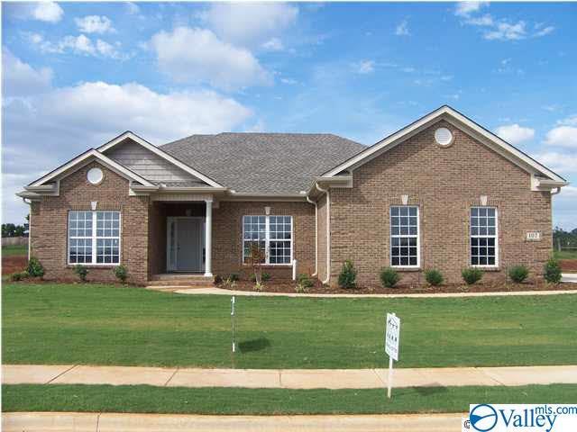 107 Maddie Ridge Road - Photo 1
