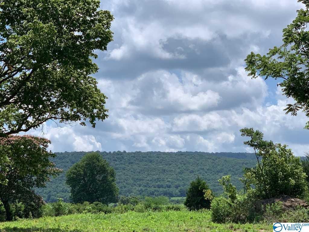 182 Mountain Road - Photo 1