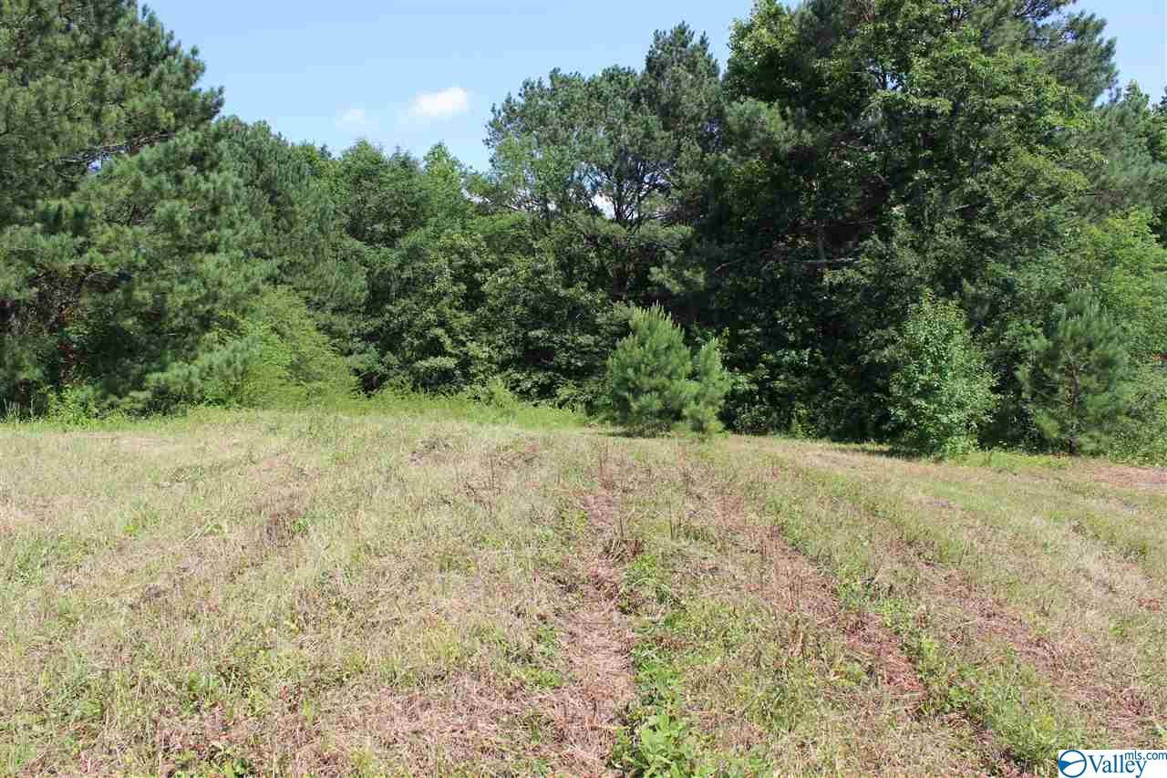 204 B Creek Road - Photo 1