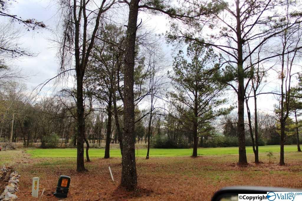 00 Cade Circle - Photo 1 00 Cade Circle - Photo 1