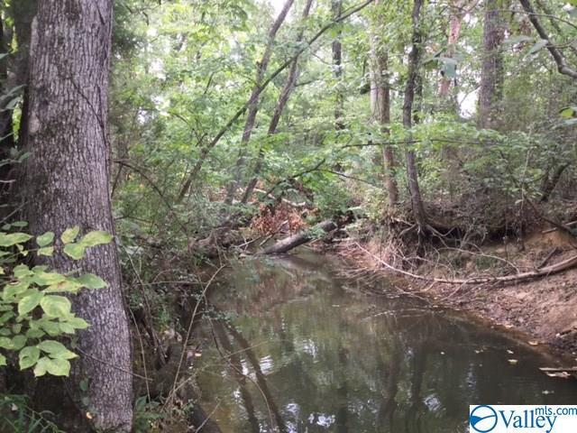 0000 Peck Hollow Road - Photo 1