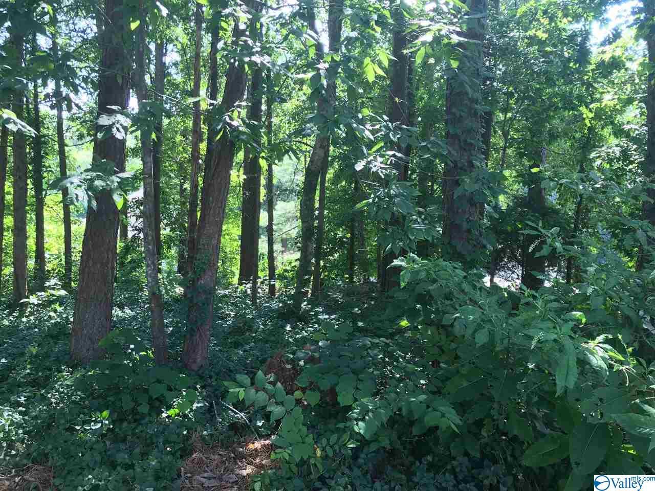 0 Ridgewood Circle - Photo 1
