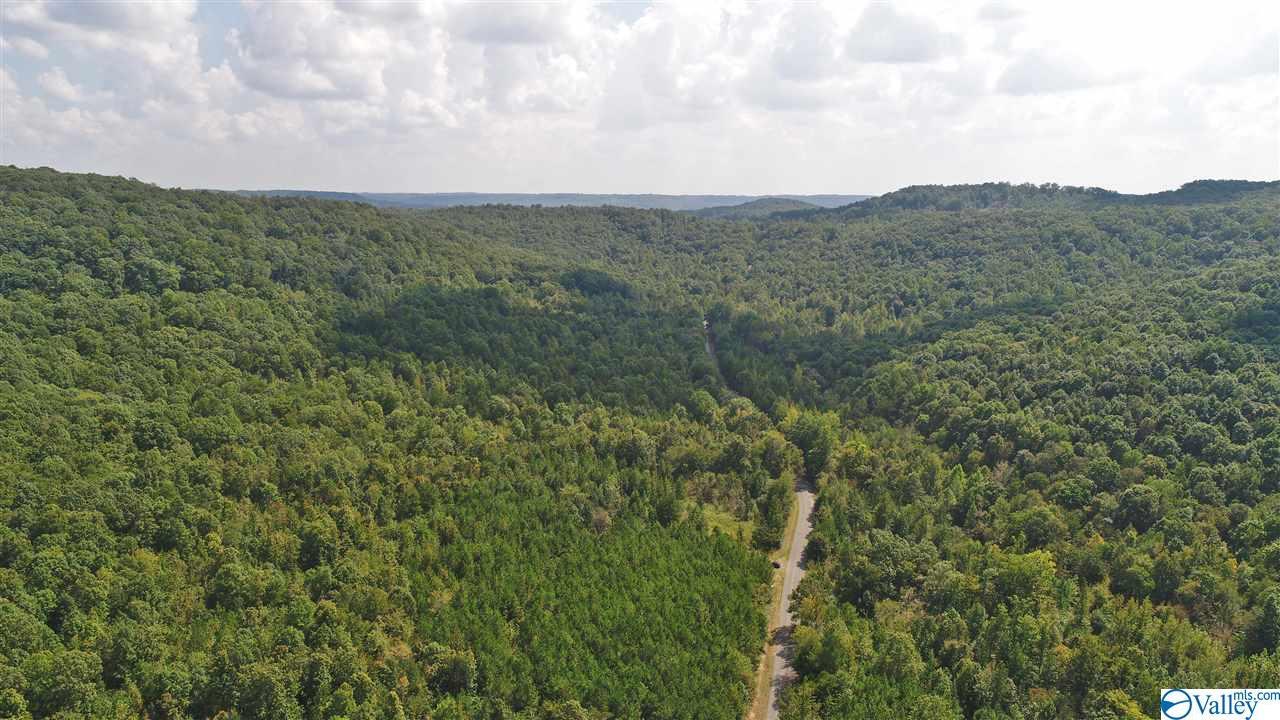 00 Nat Key Road - Photo 1
