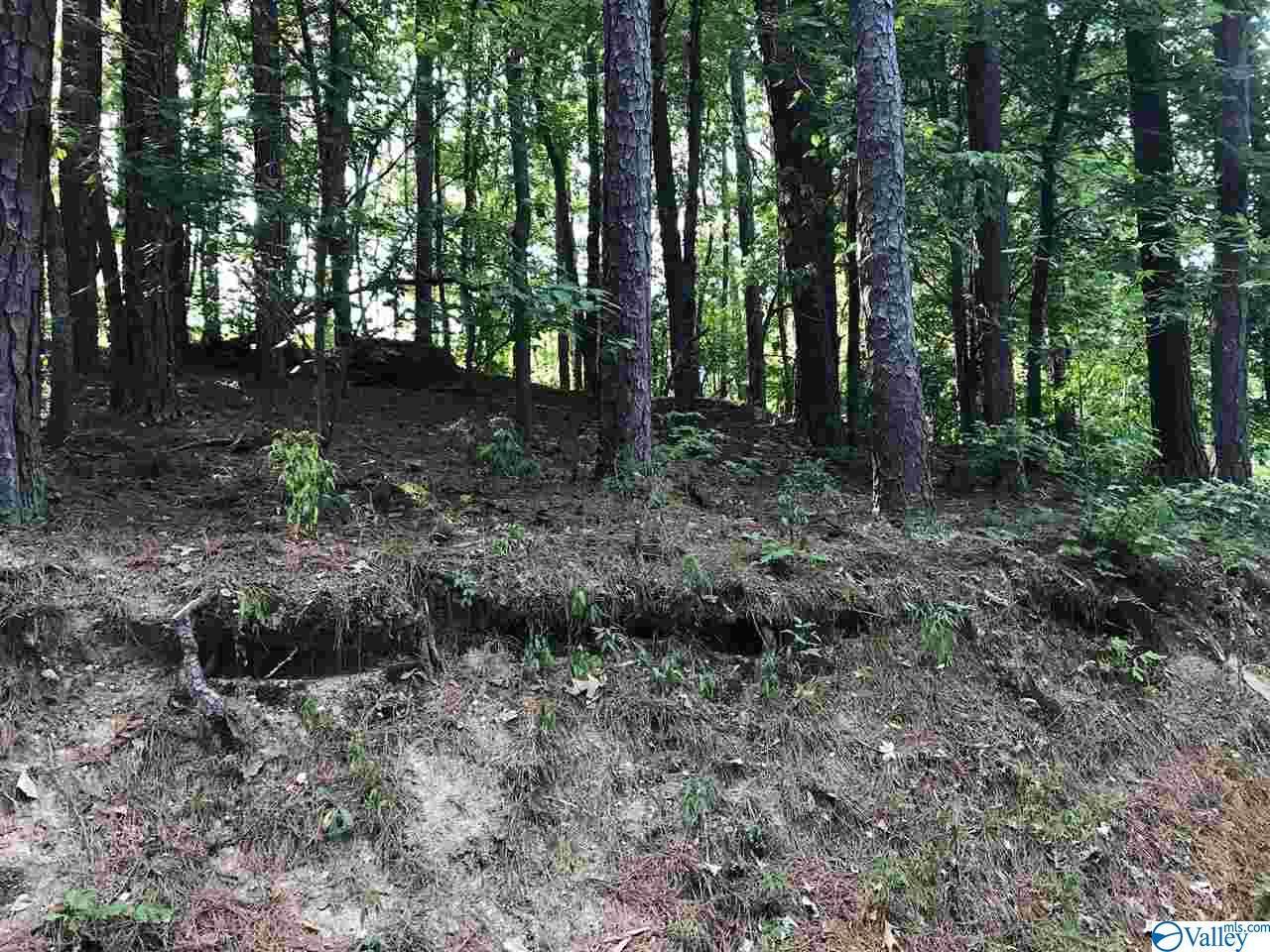 130 Camp Ney A Ti Road - Photo 1