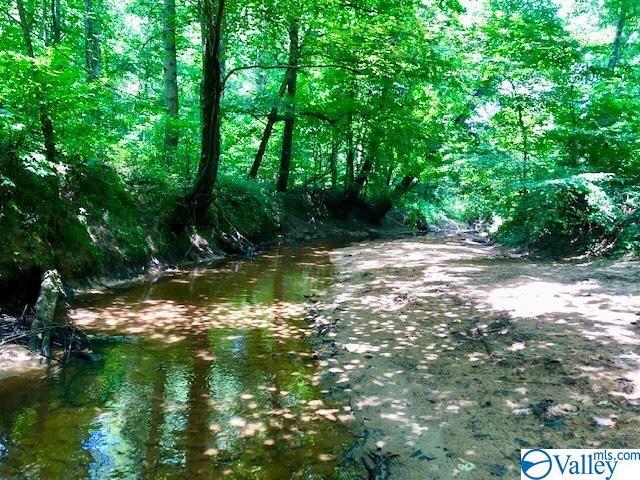 0 County Road 256 - Photo 1