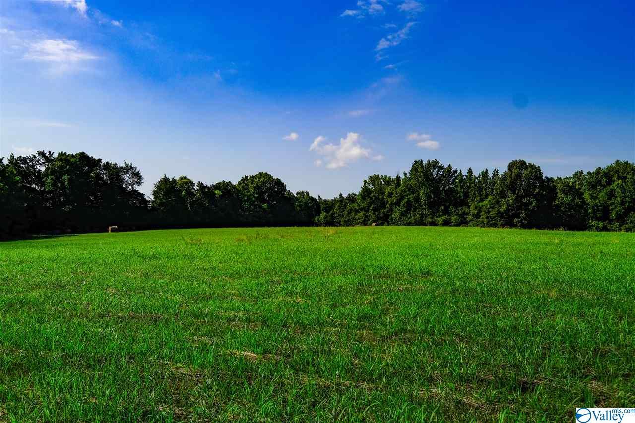 0 County Road 108 - Photo 1