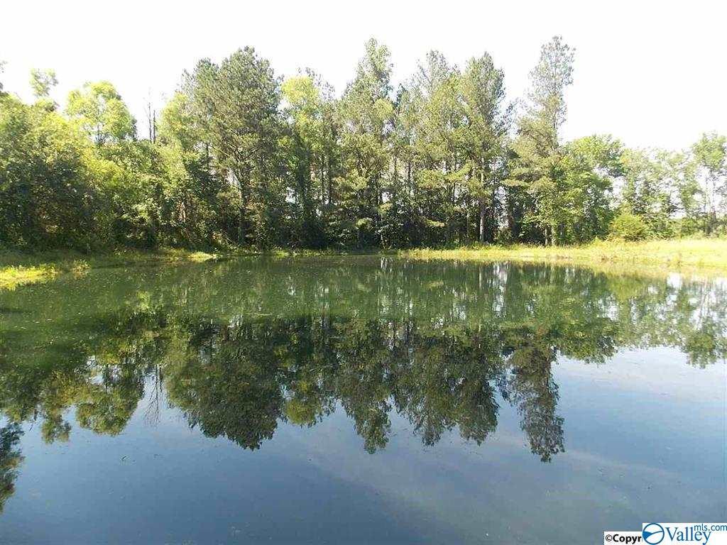 00 County Road 54 - Photo 1