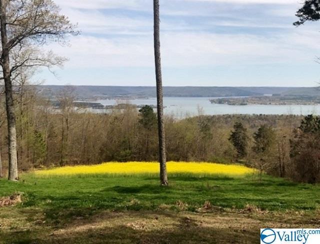 245 Mountain Heights Ridge Road - Photo 1