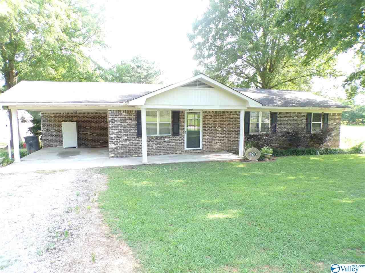 126 County Road 463 - Photo 1