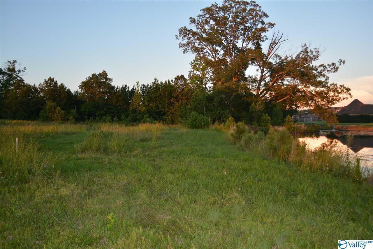 Maree Drive - Photo 1
