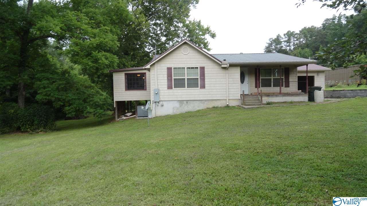 482 Iva Lee Cutoff Road - Photo 1