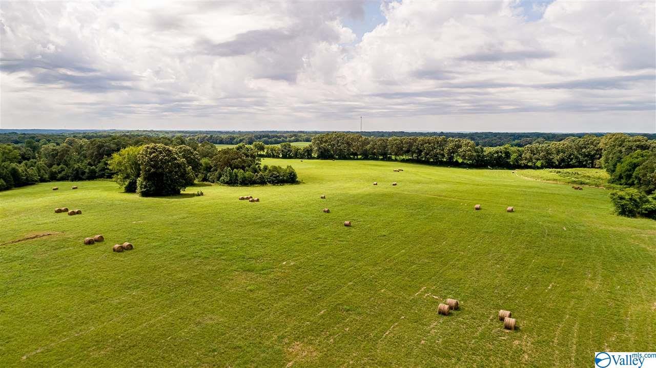 001 County Road 69 - Photo 1