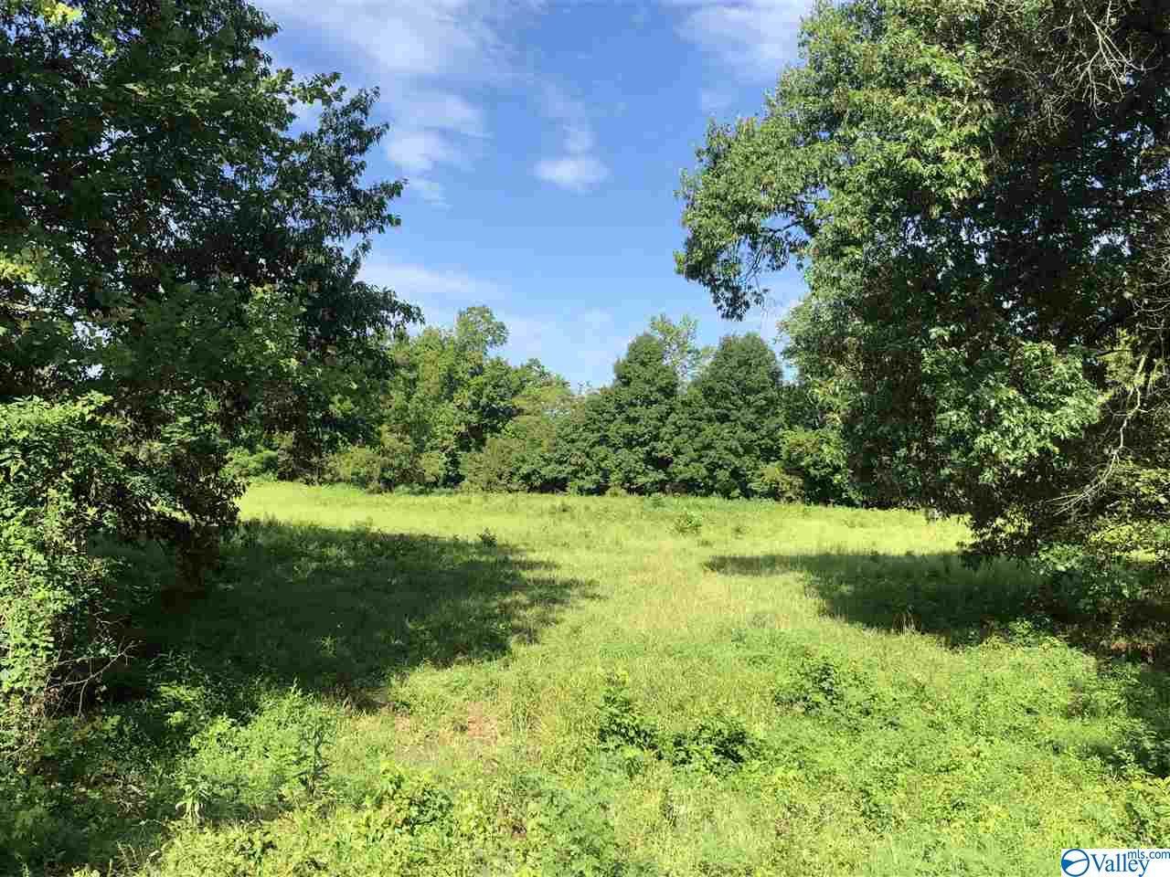 10440 Us Highway 411 - Photo 1