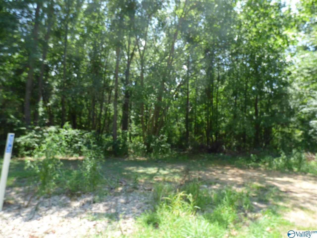 0 County Road 450 - Photo 1