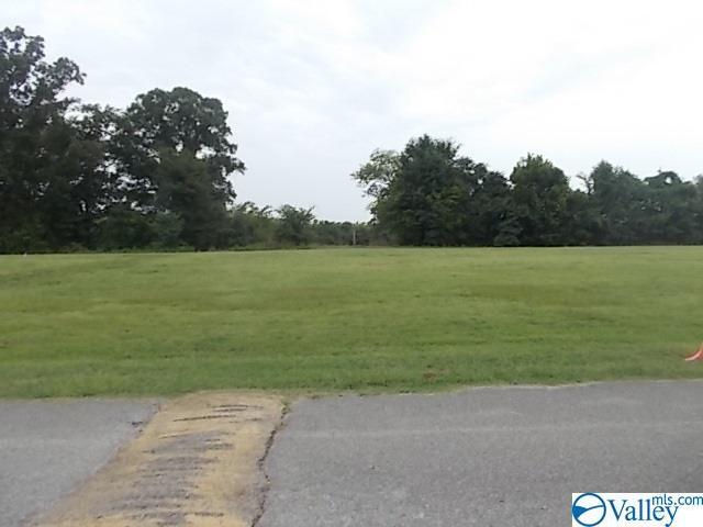 Lot 13 Bay Village Drive - Photo 1