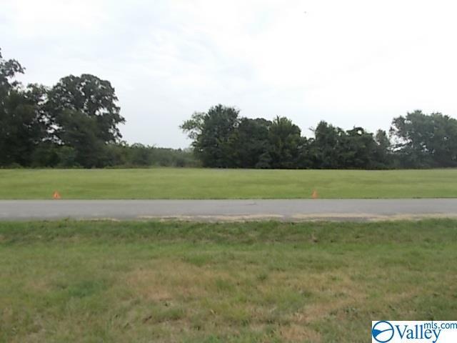 Lot 12 Bay Village Drive - Photo 1
