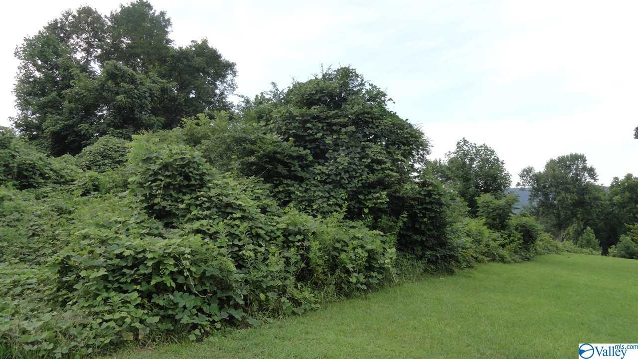 1 Anna Drive - Photo 1