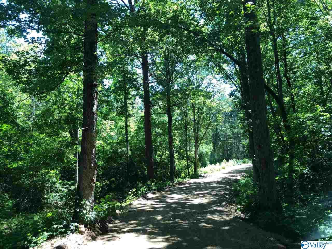 16-13 County Road 850 - Photo 1