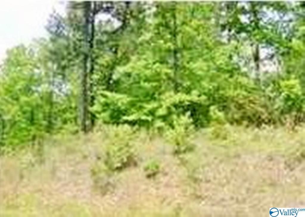00000 County Road 3151 - Photo 1 00000 County Road 3151 - Photo 1