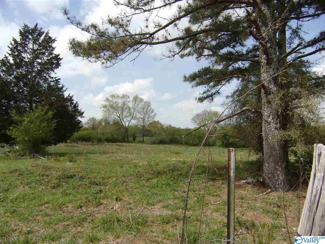 Pleasant Hill Church Road - Photo 1