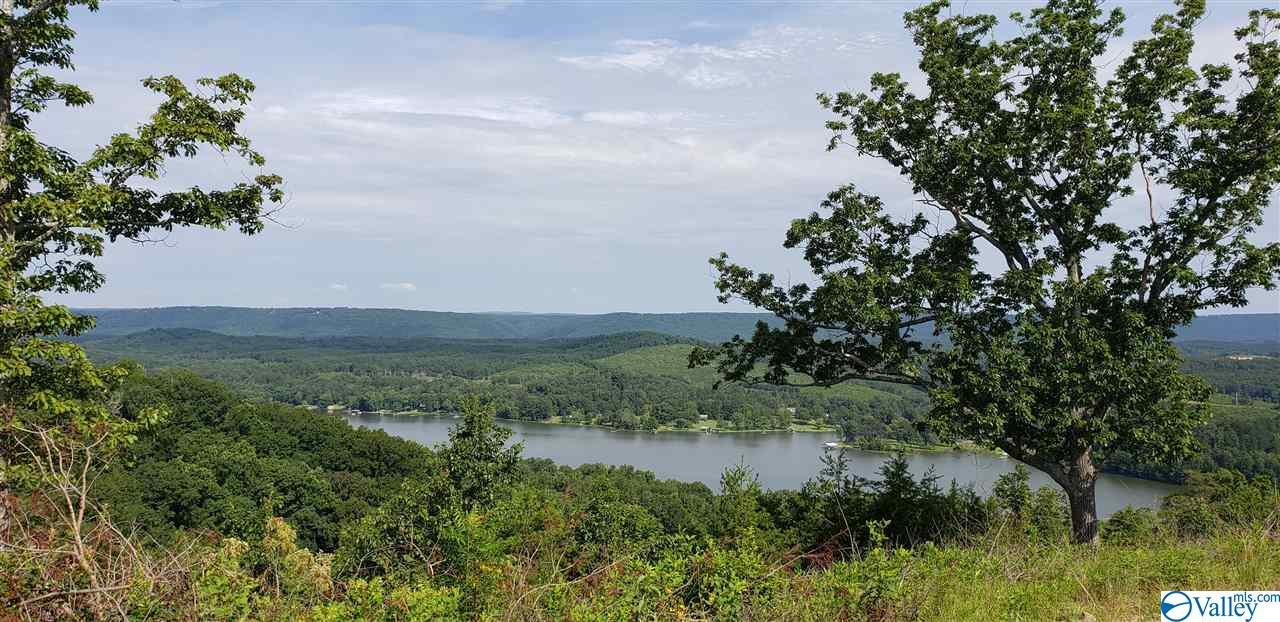 292 County Road 767 - Photo 1