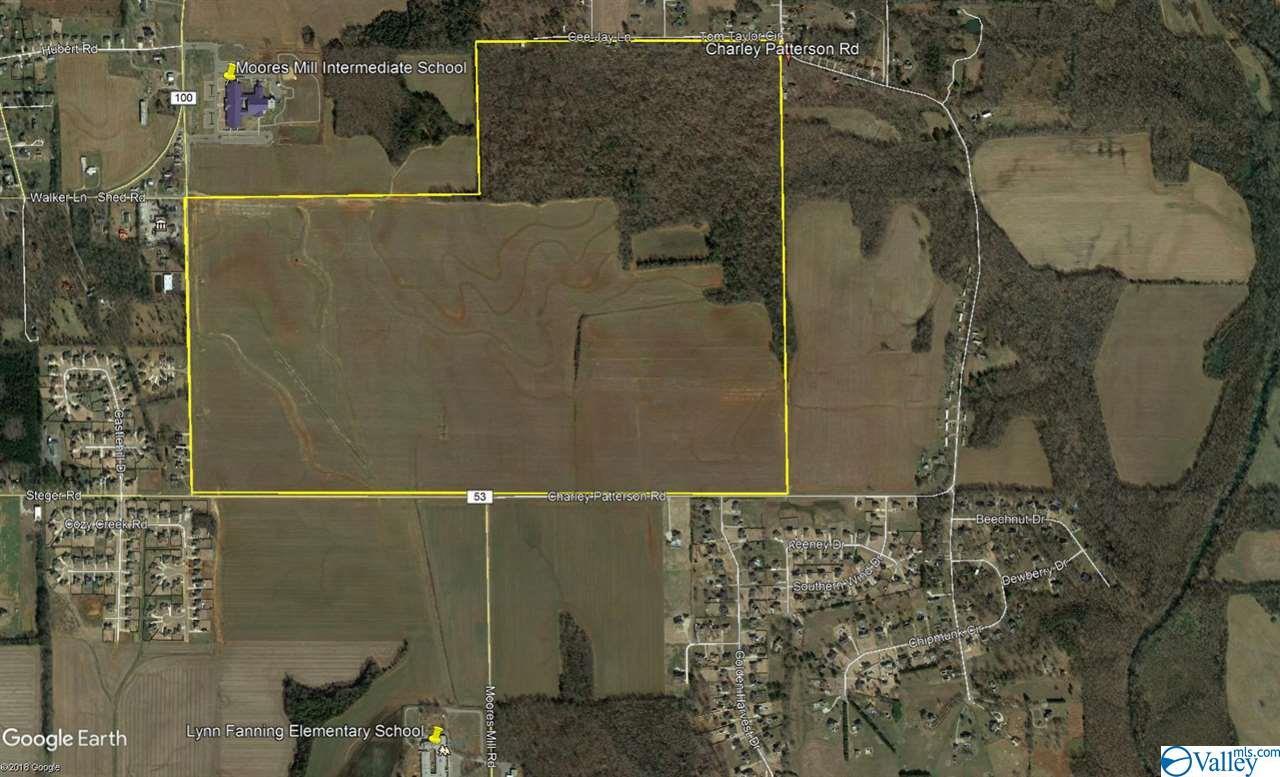 0 Charley Patterson Road - Photo 1
