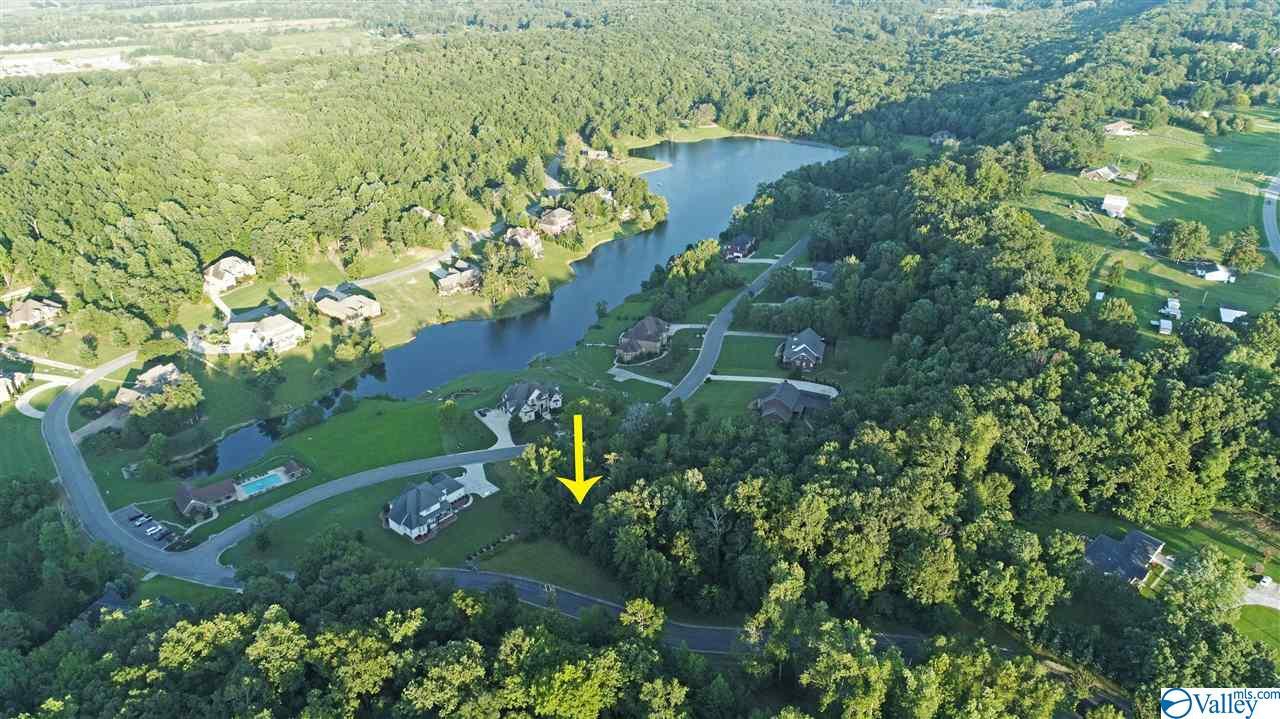 1665 Lake Cove Drive - Photo 1