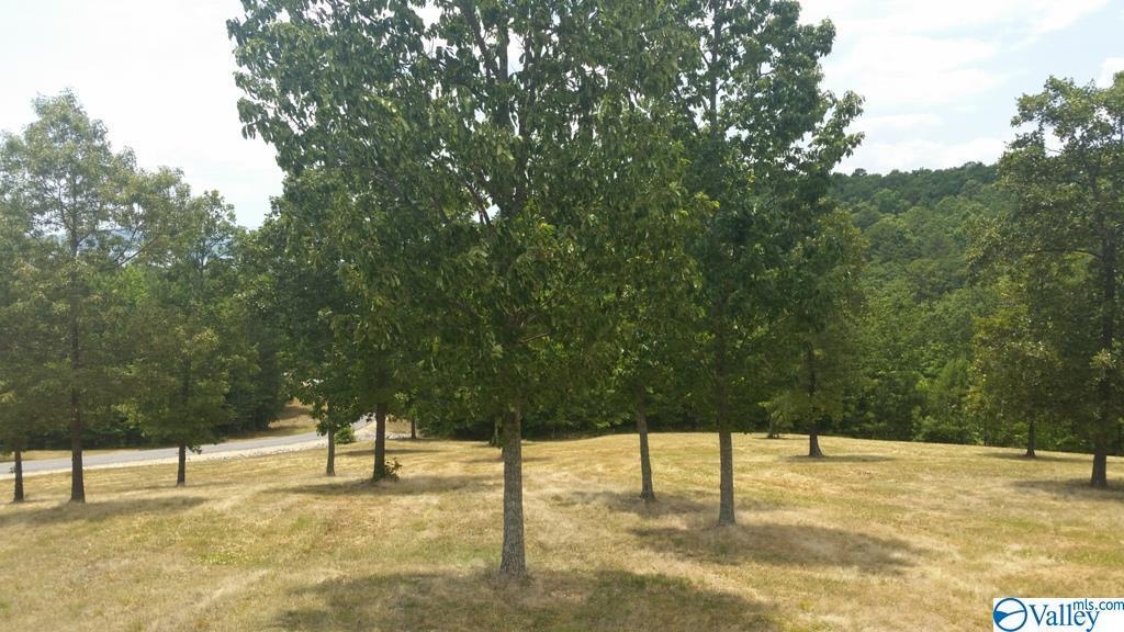 Lot 47 County Road 767 - Photo 1