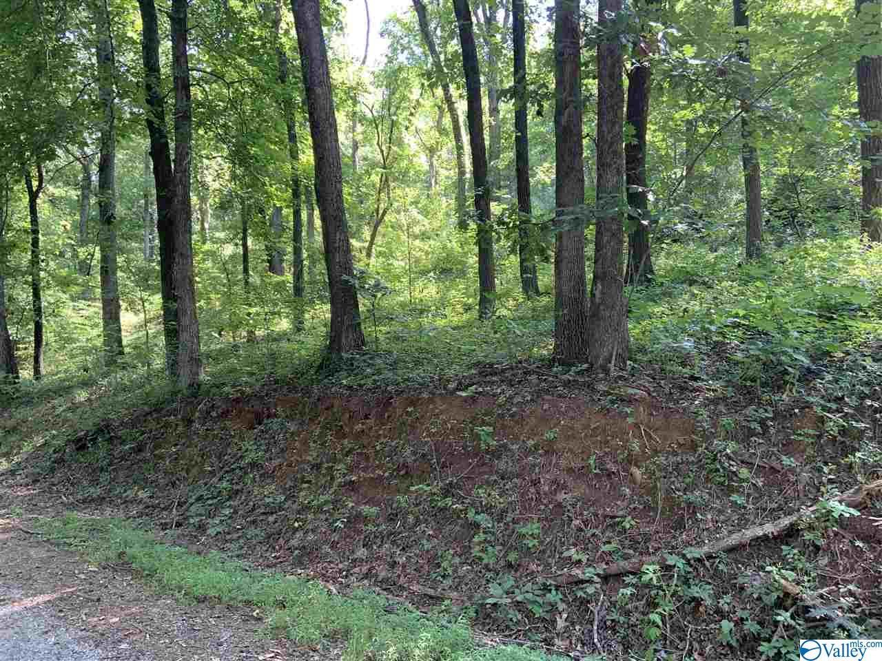 13 Creekview Drive - Photo 1 13 Creekview Drive - Photo 1