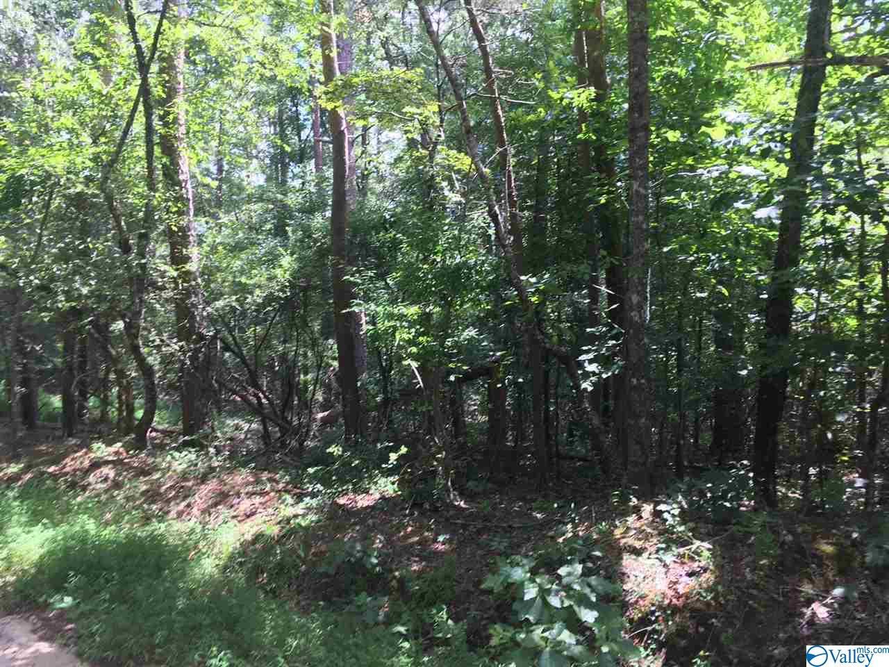 A County Road 387 - Photo 1