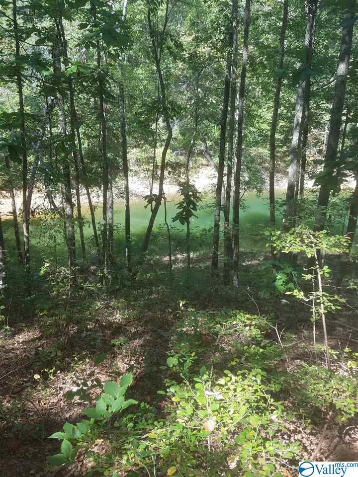 Lot 5 Blue Water Pointe Drive - Photo 1