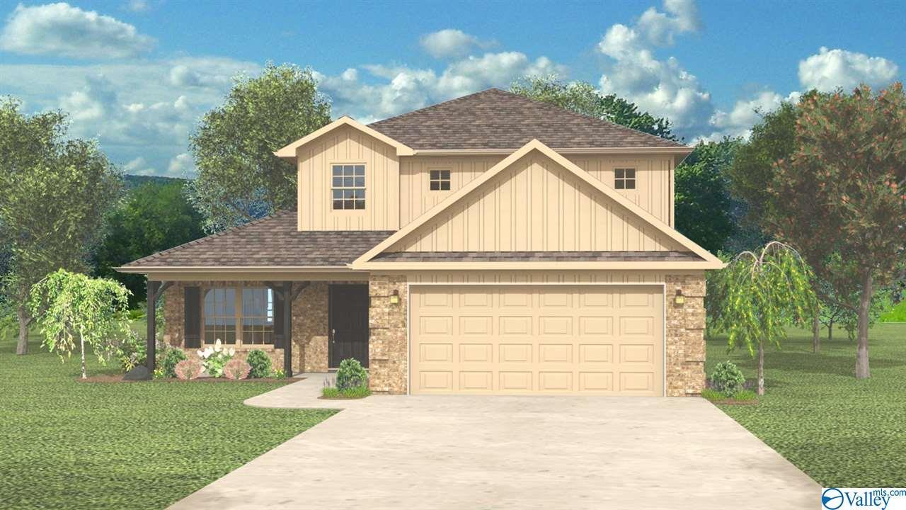 262 Maggie Mance Lane - Photo 1