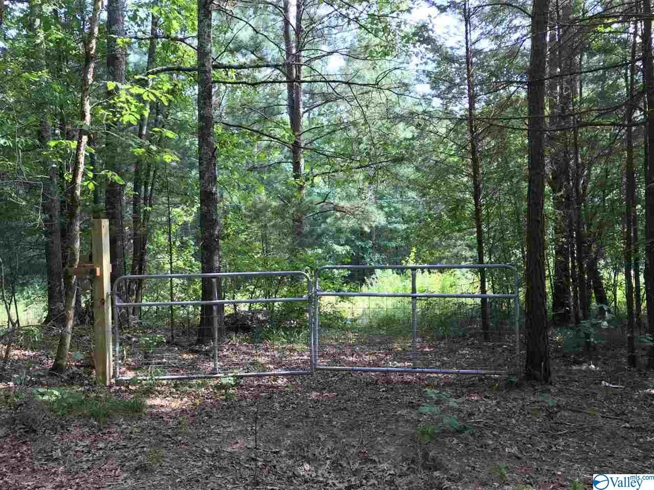 Stewart Hollow Road - Photo 1