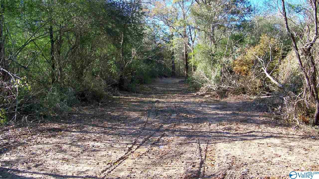 421 Solitude Avenue U - Photo 1