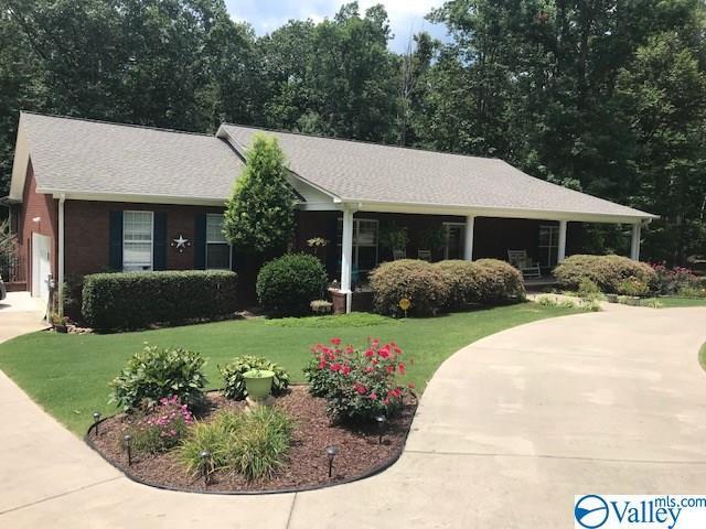 185 Bella Vista Drive - Photo 1