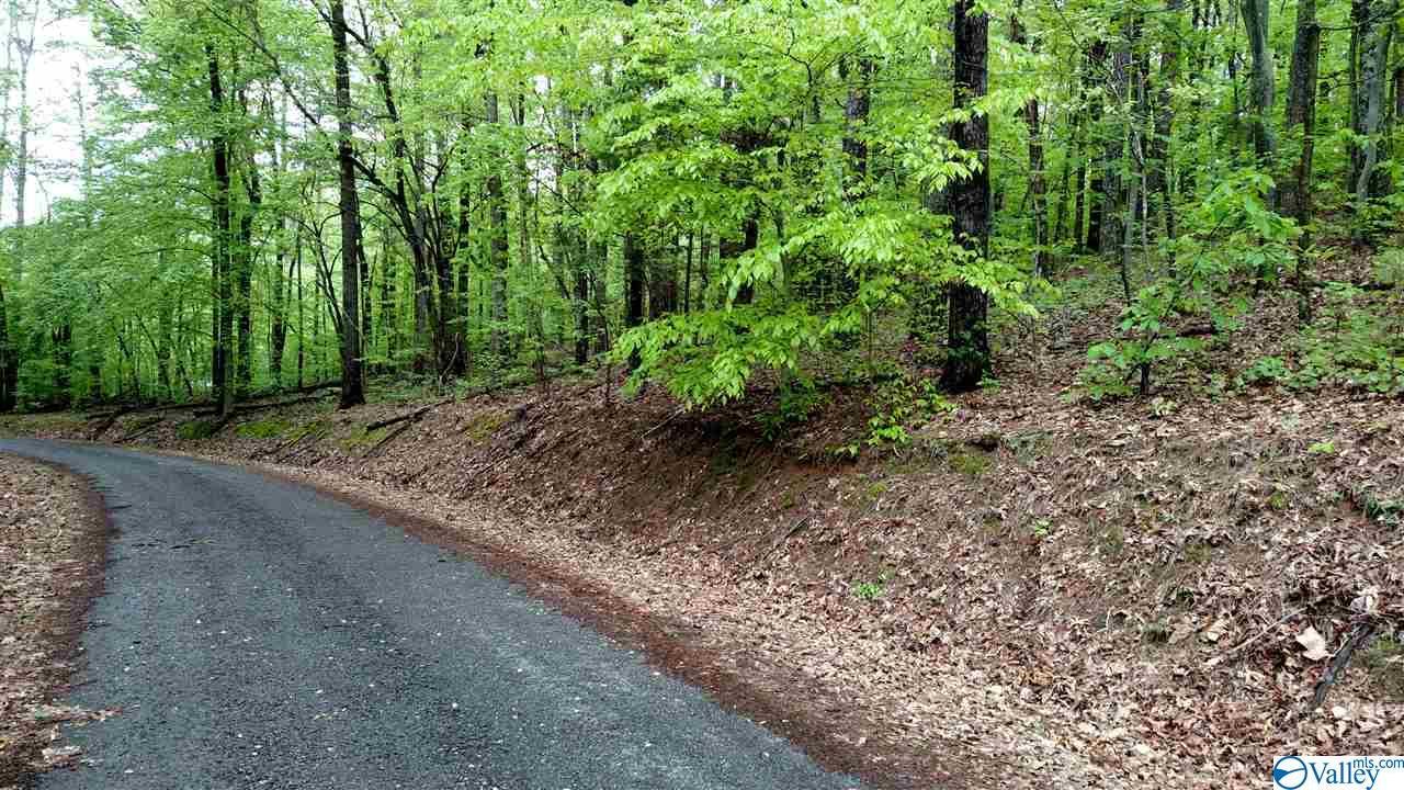 871 Holiday Shores Road - Photo 1