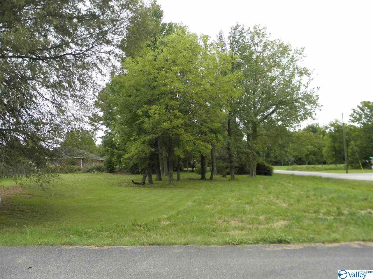 317 Paine Avenue - Photo 1