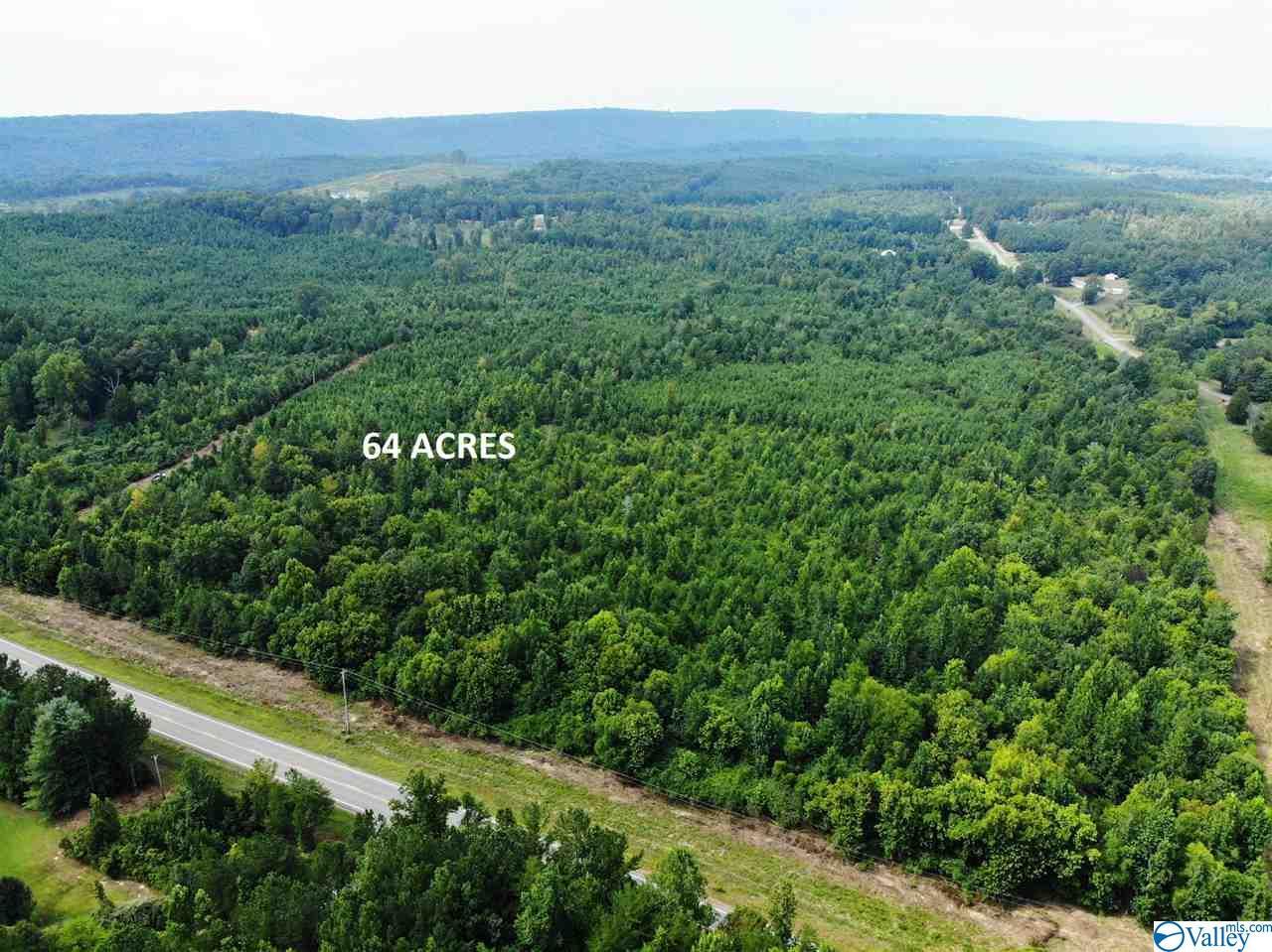 0 Highway 35 - Photo 1
