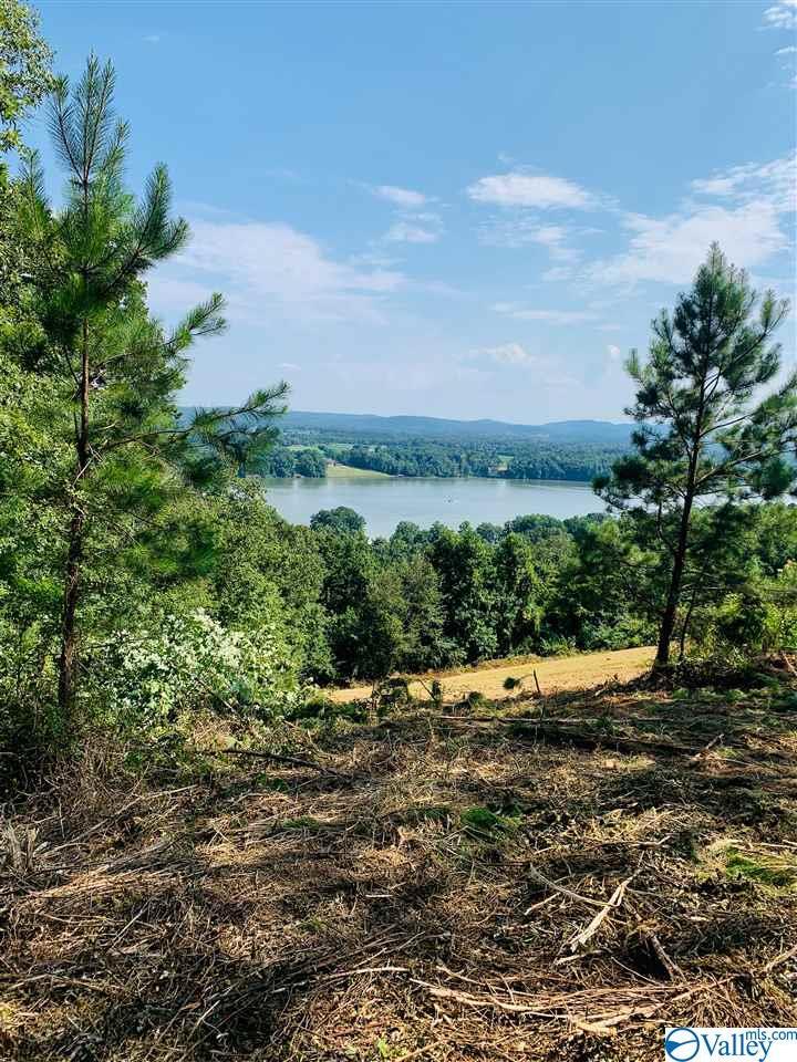 Mountain Breeze Court - Photo 1